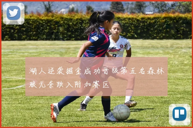 湖人逆袭掘金成功晋级第五名森林狼无奈跌入附加赛区